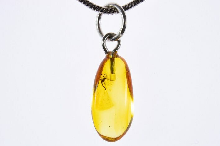 Polished Baltic Amber Pendant (Necklace) - Contains Fly! #339587